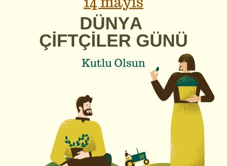 BENDİS AVM